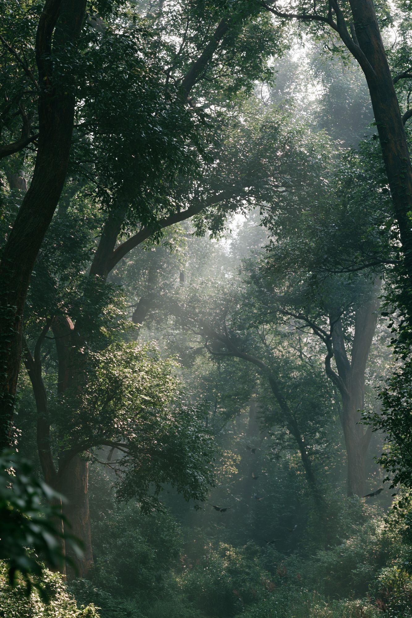 Misty Forest Canopy Poster. poster — nature art