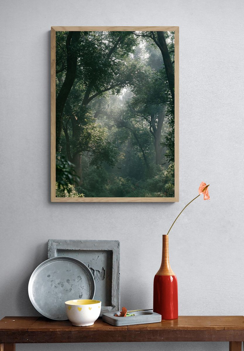 Misty Forest Canopy Poster. — room view 3