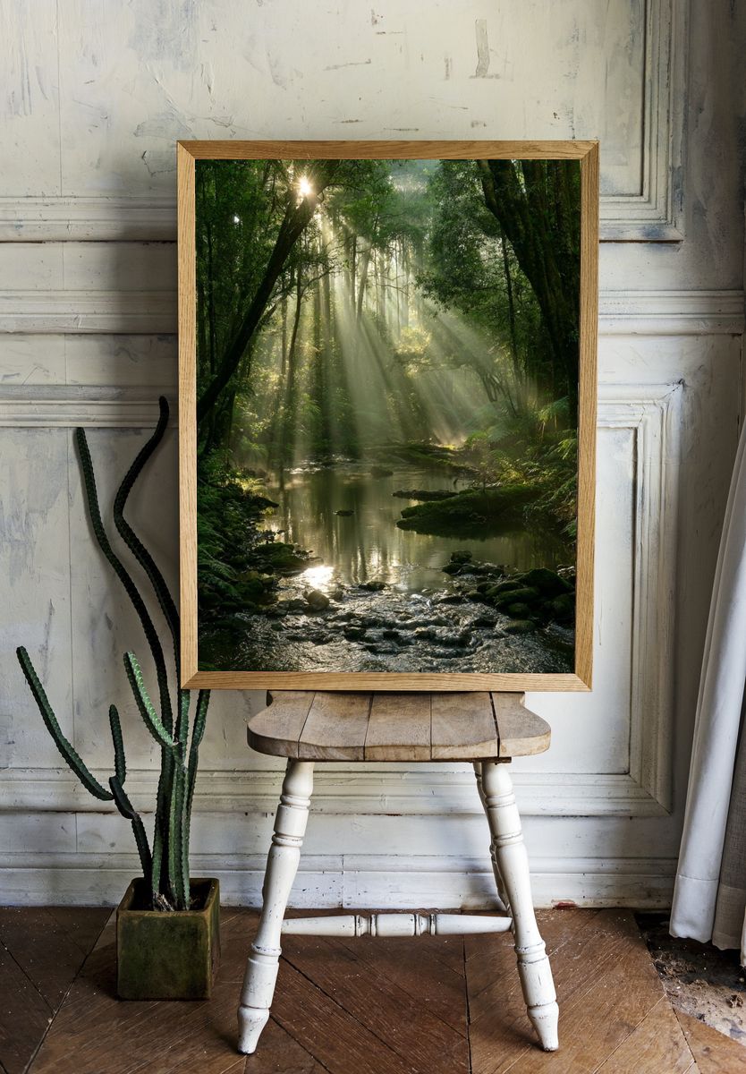 Sunlit Forest Stream Poster. room preview