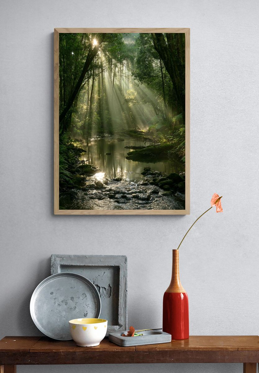 Sunlit Forest Stream Poster. — room view 3