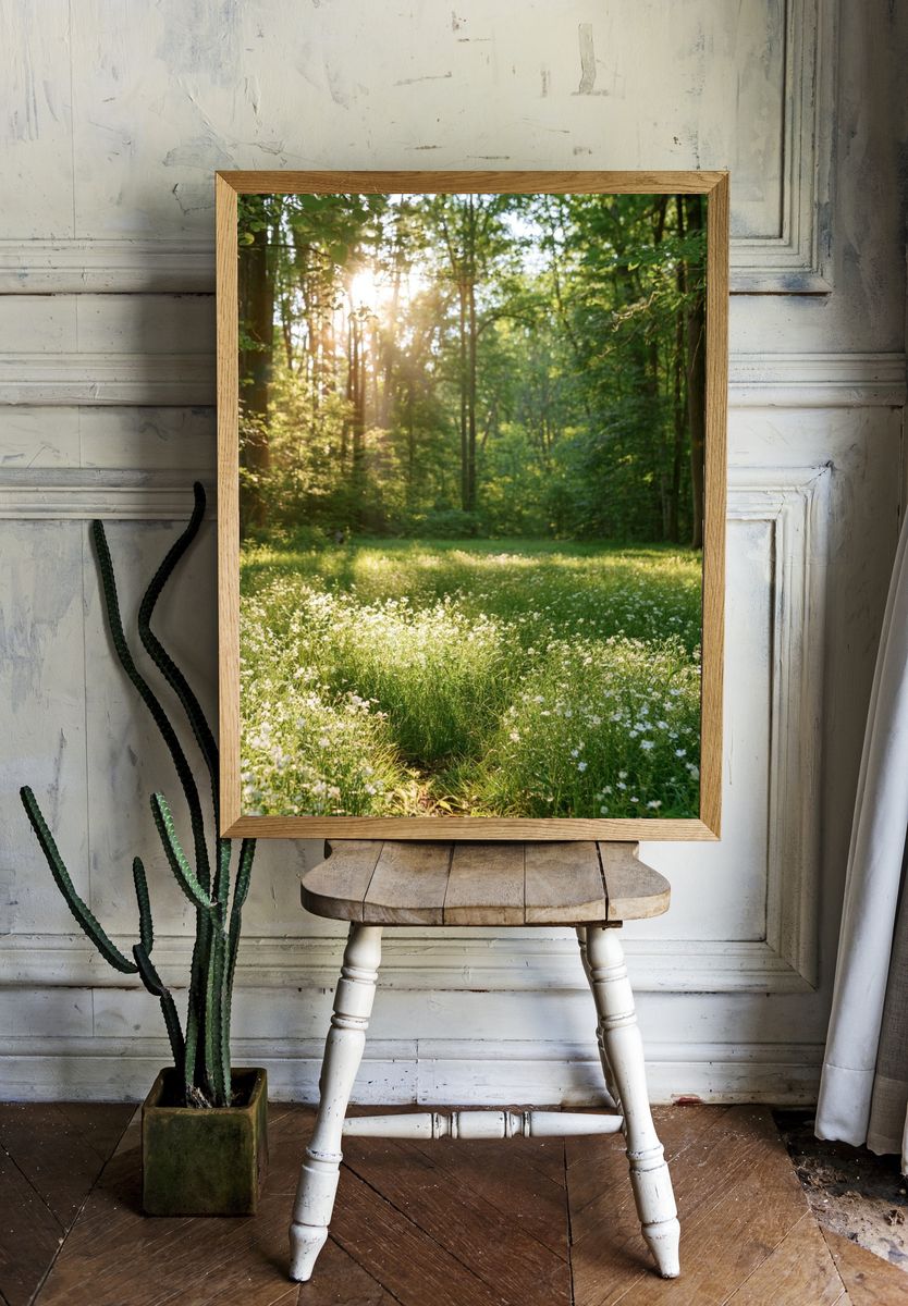 Sunlit Forest Meadow Photography Poster. room preview
