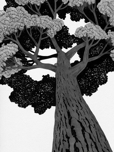 Monochrome Tree Canopy Illustration Poster. poster