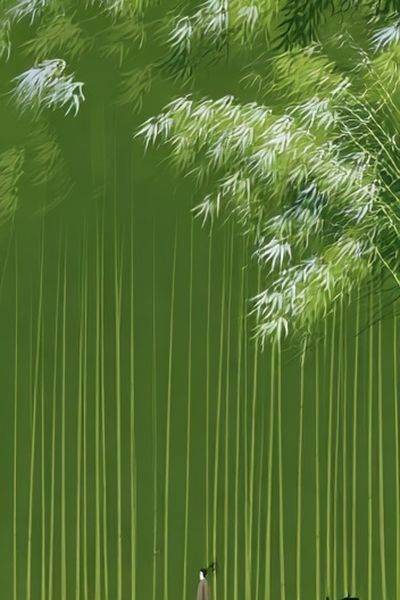Bamboo Grove Minimalist Print. poster