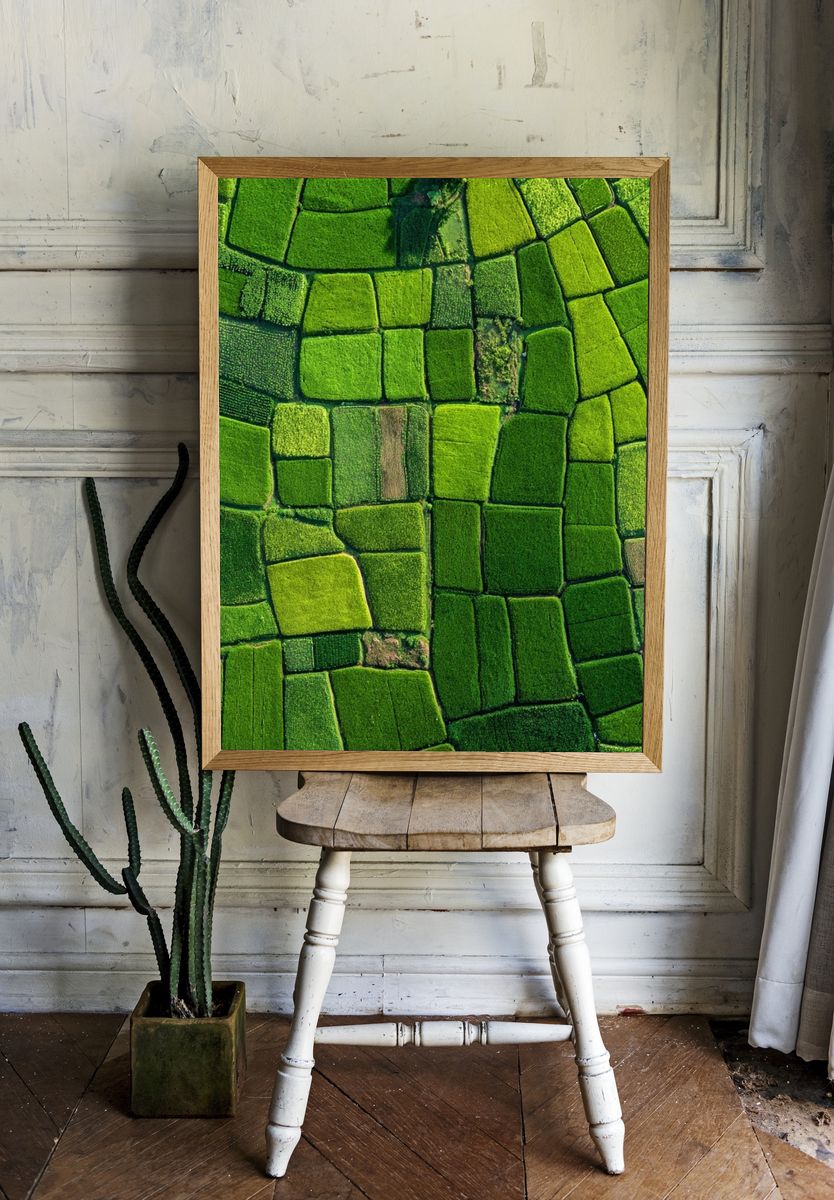 Lush Green Fields — Nature Print room preview