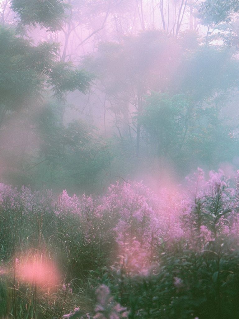 Misty Pink Forest Poster. poster detail