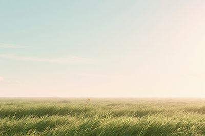 Windy Meadow Sunrise Print.