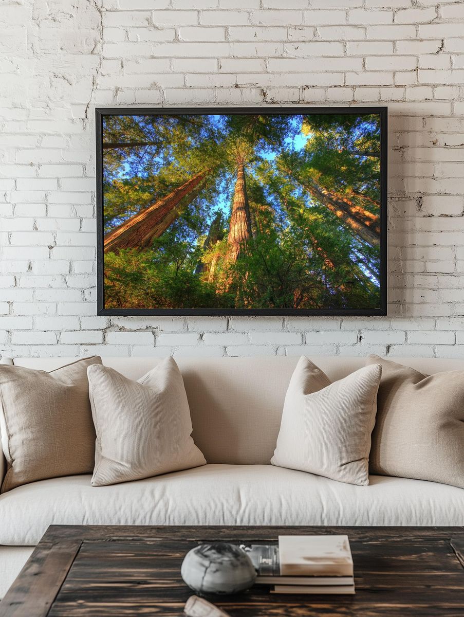 Majestic Redwood Forest — Nature Print. — room view 1