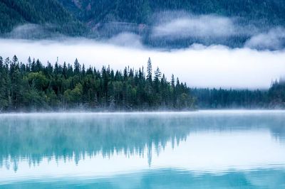 Misty Forest Lake Landscape Poster