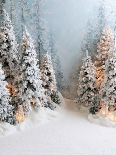 Snowy Winter Forest Poster. poster
