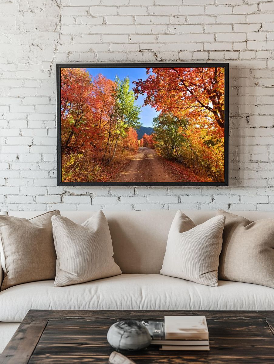 Fall colors dirt road Cub. — room view 1