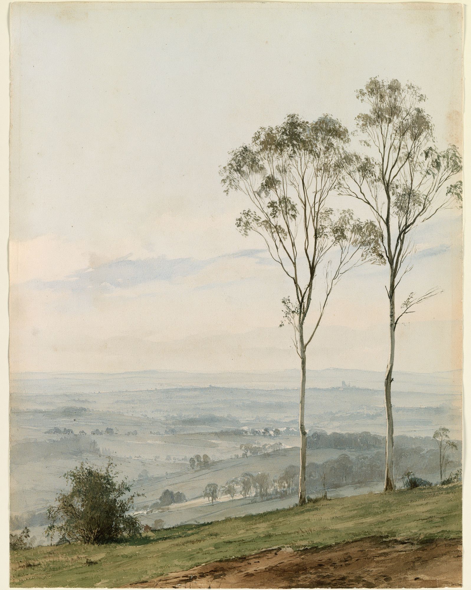 Misty Eucalyptus Landscape Print. poster detail