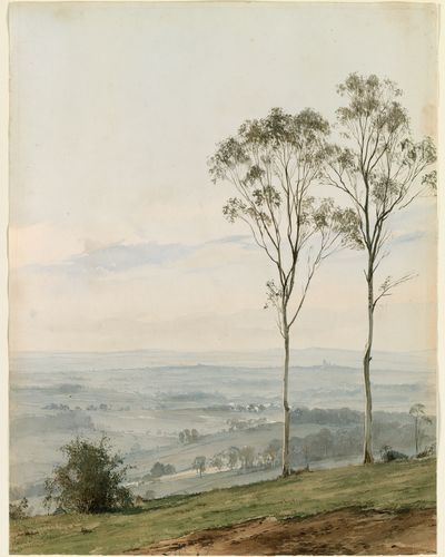 Misty Eucalyptus Landscape Print. poster