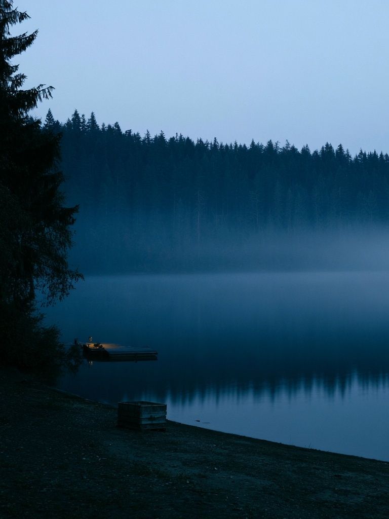 Misty Forest Lake Photography Poster. poster detail