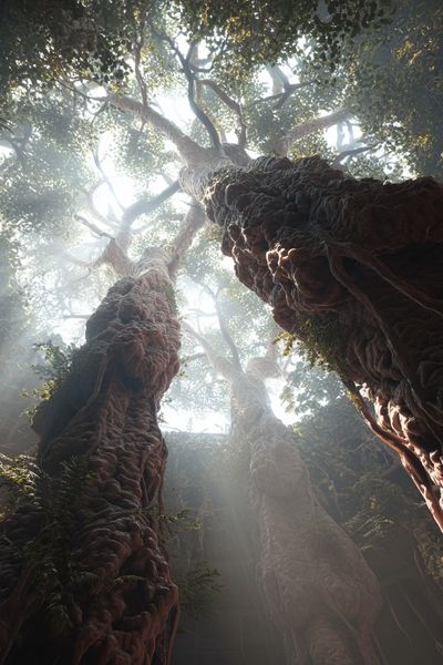 Ancient Forest Canopy Poster.