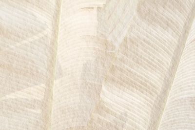 Banana leaf pattern beige cement. poster