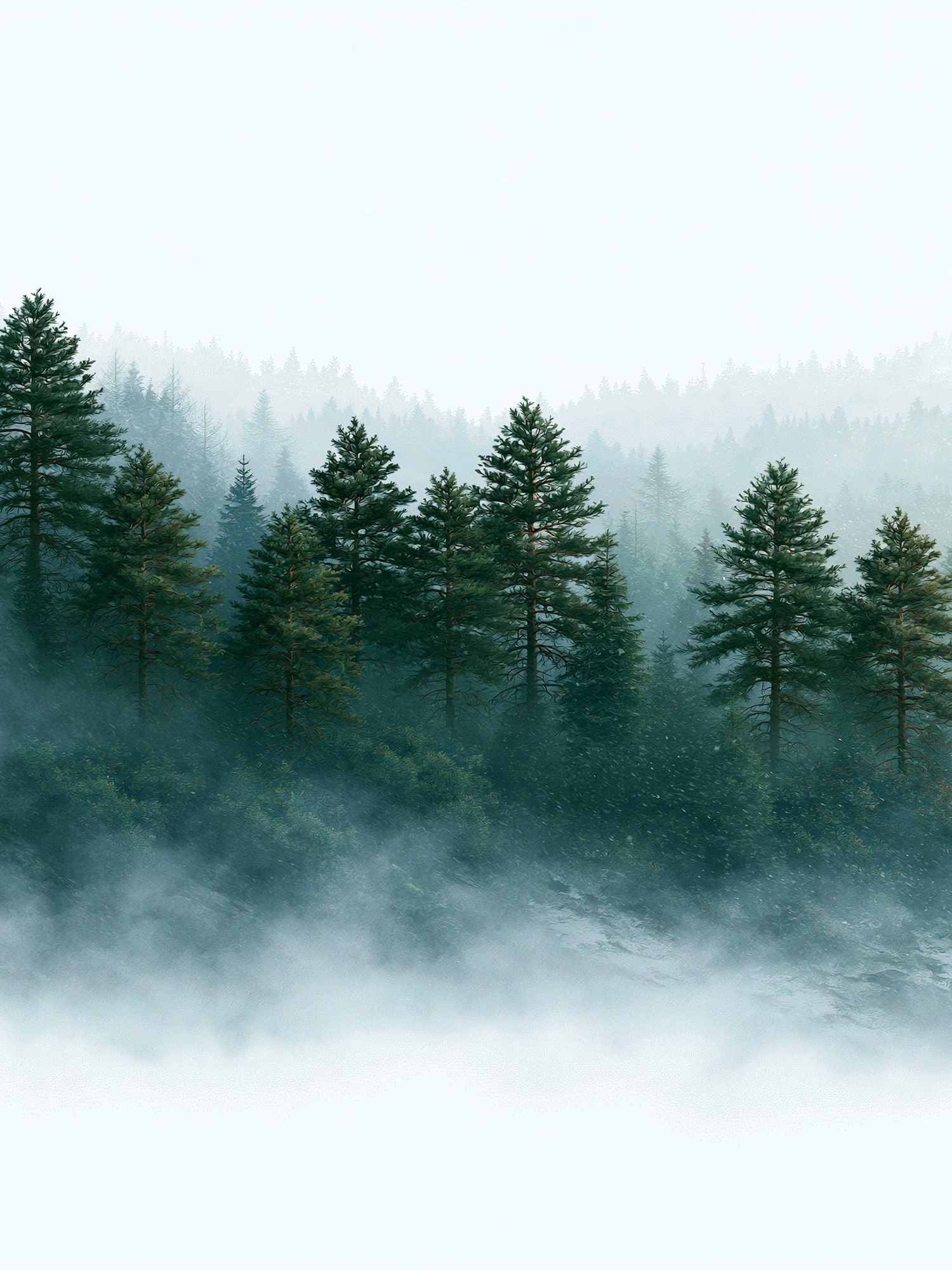 Misty Pine Forest Landscape Poster. poster — nature art