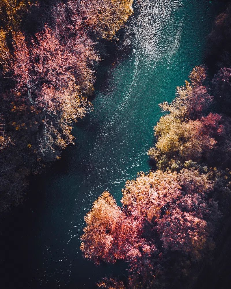 Aerial view river flowing Vaihingen. poster — nature art