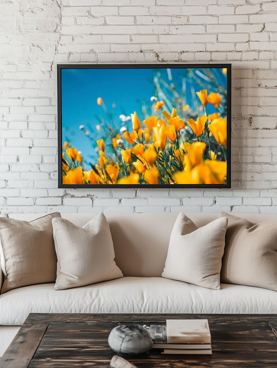 Orange petaled flowers blooming field. — room view 1