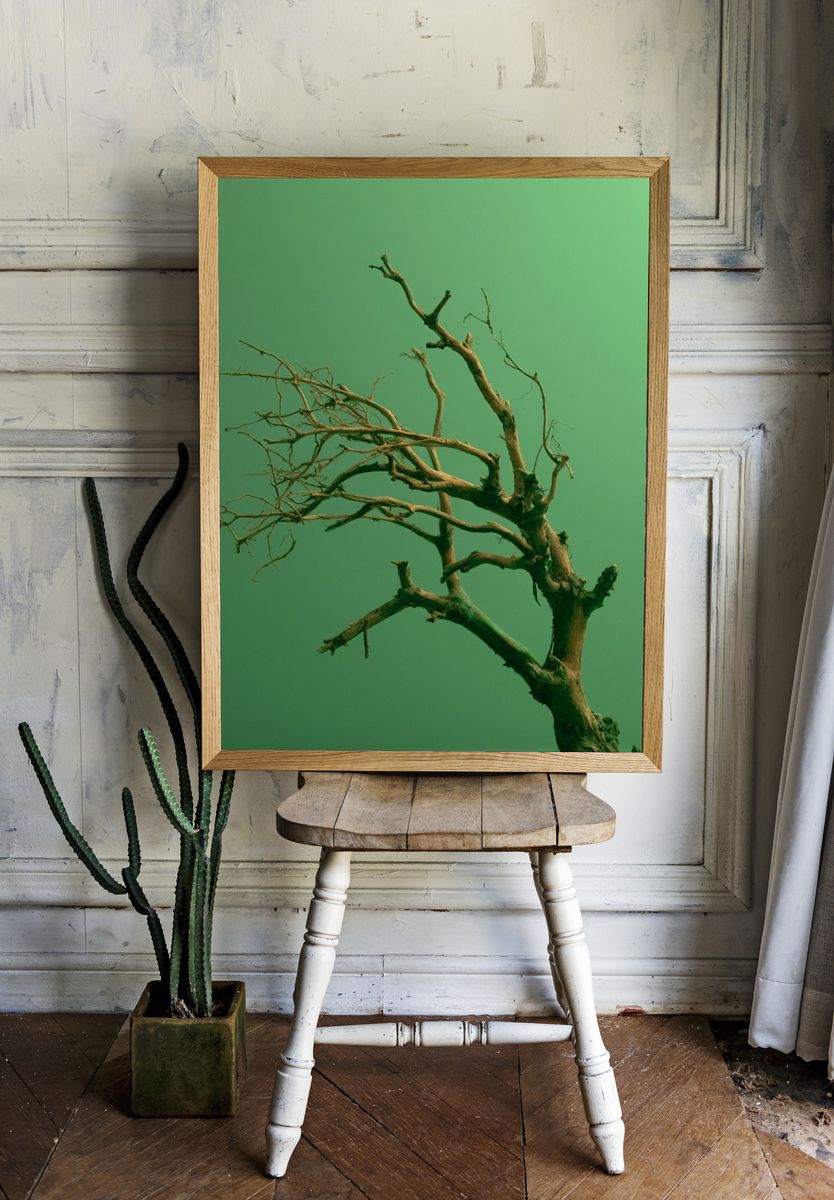 Solitary Tree Branches Print. — room view 1