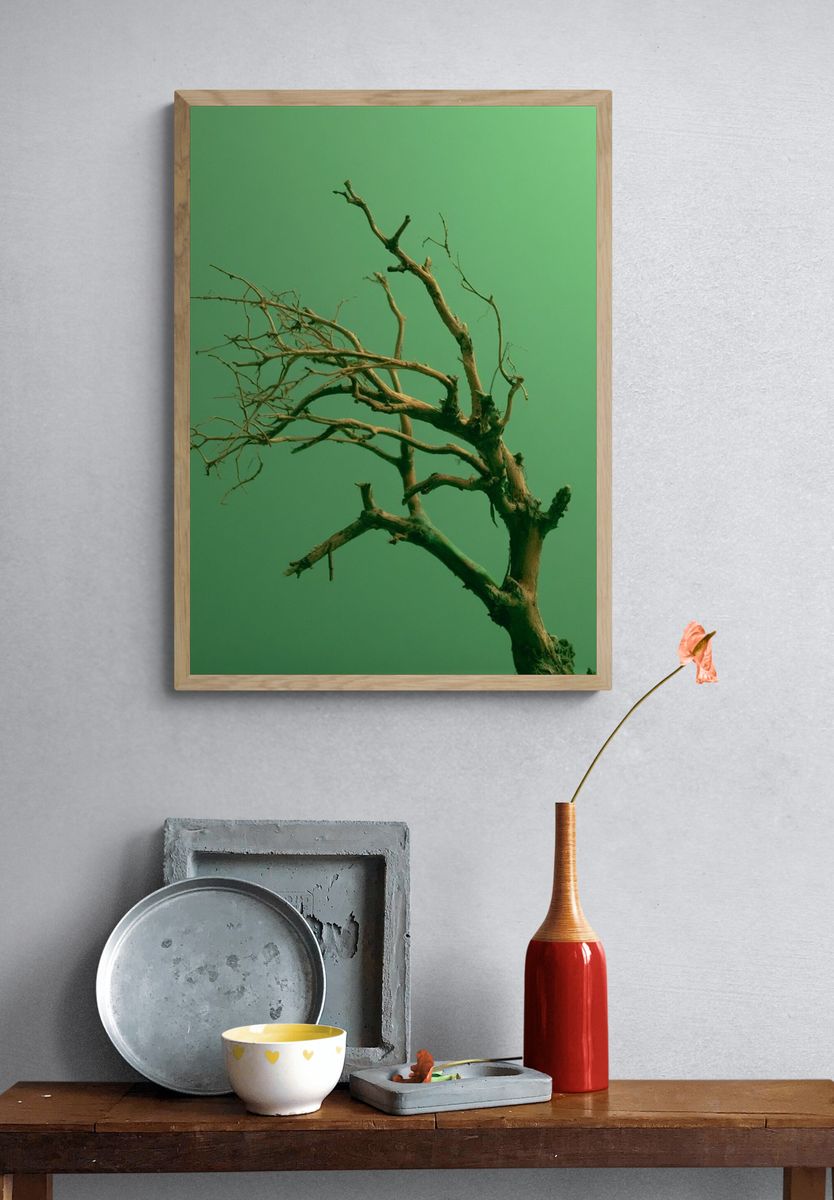 Solitary Tree Branches Print. — room view 3