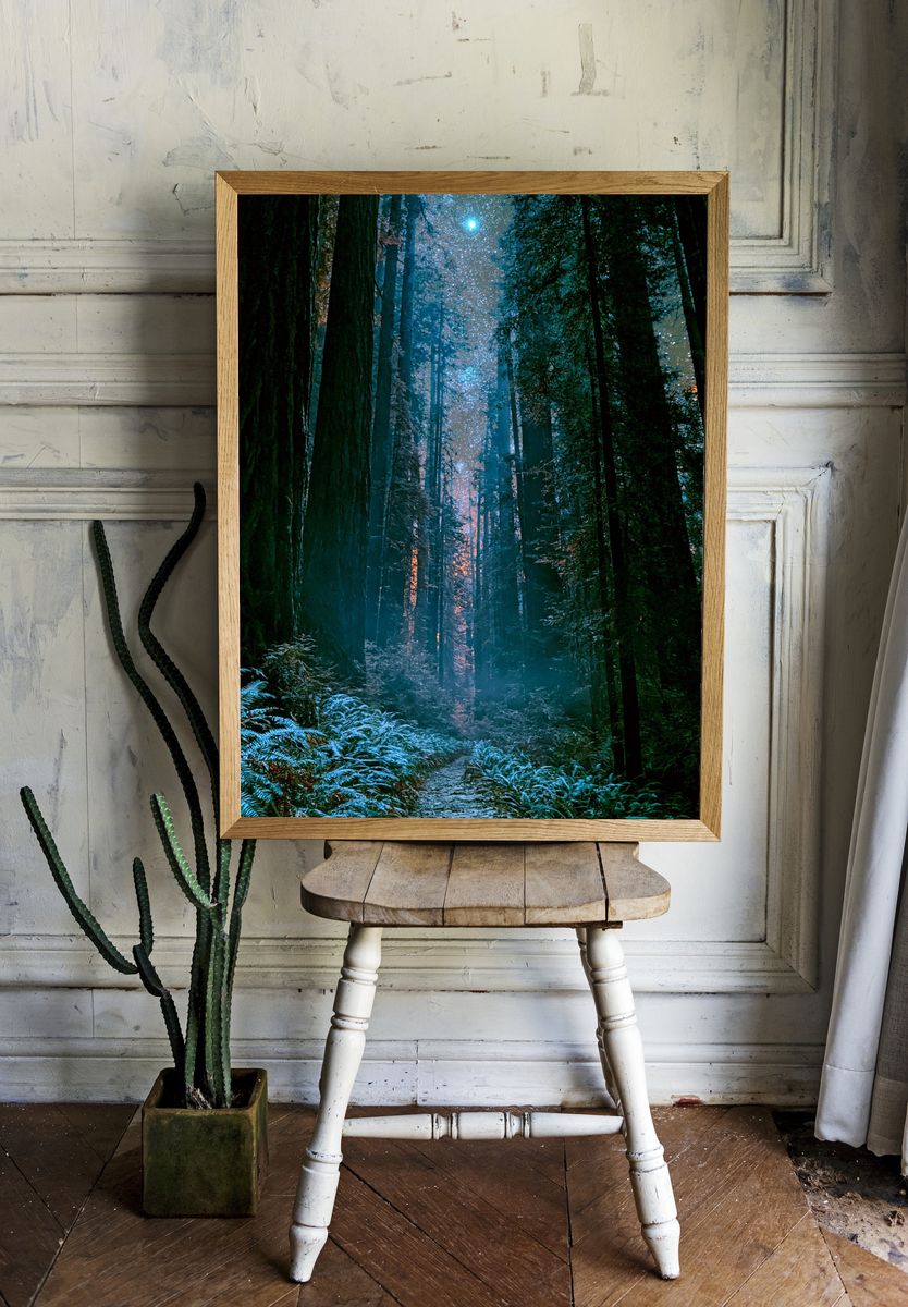 Moonlit Redwood Forest Poster. — room view 1