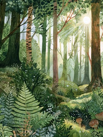Sunlit Forest Watercolor Poster. poster