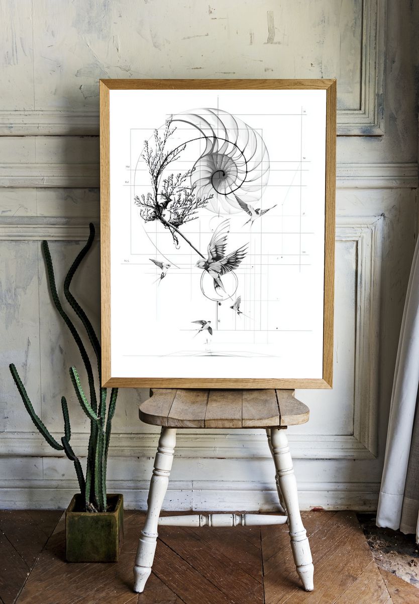Nautilus and Birds Ink Print. room preview