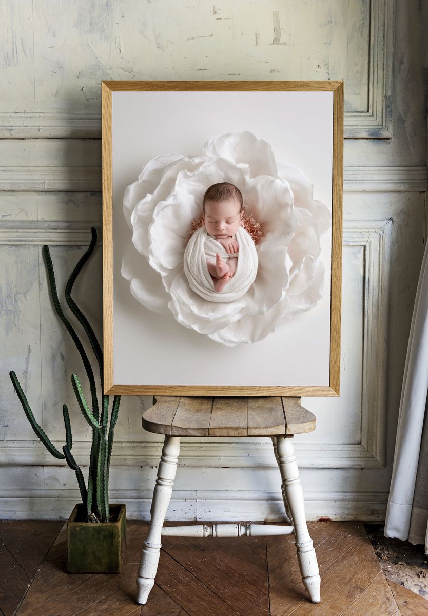 Sleeping Newborn Flower Portrait Print. room preview