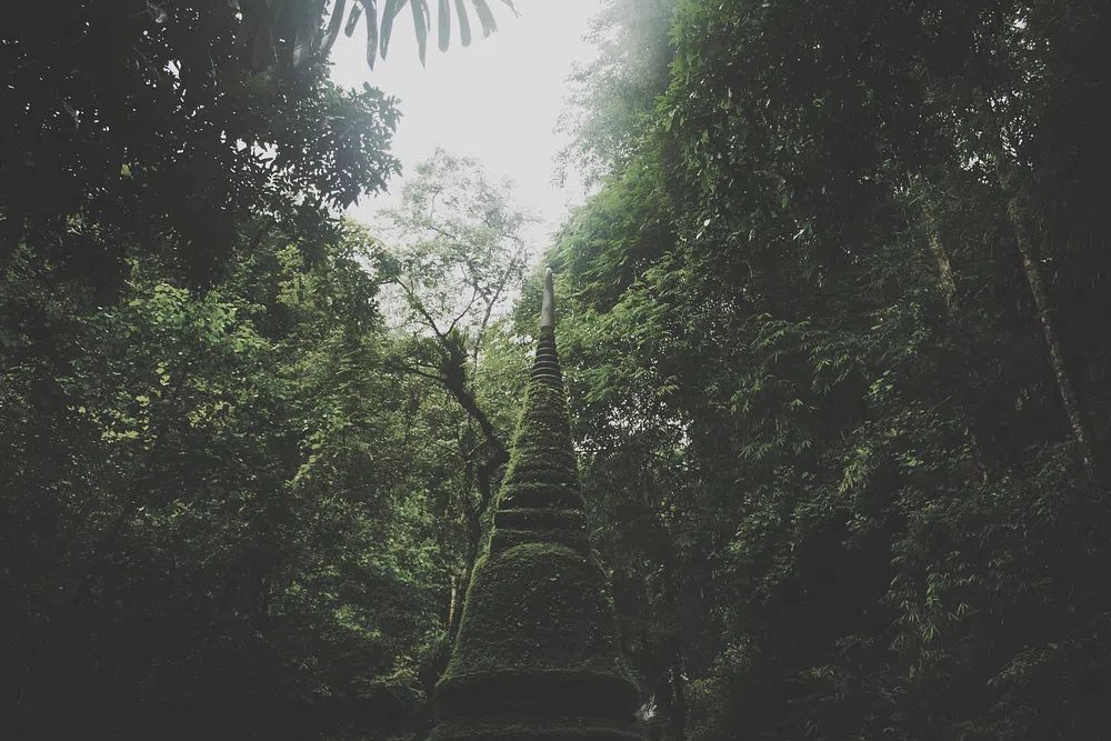 Moss-Covered Stupa in Lush Forest — Nature Print. poster detail