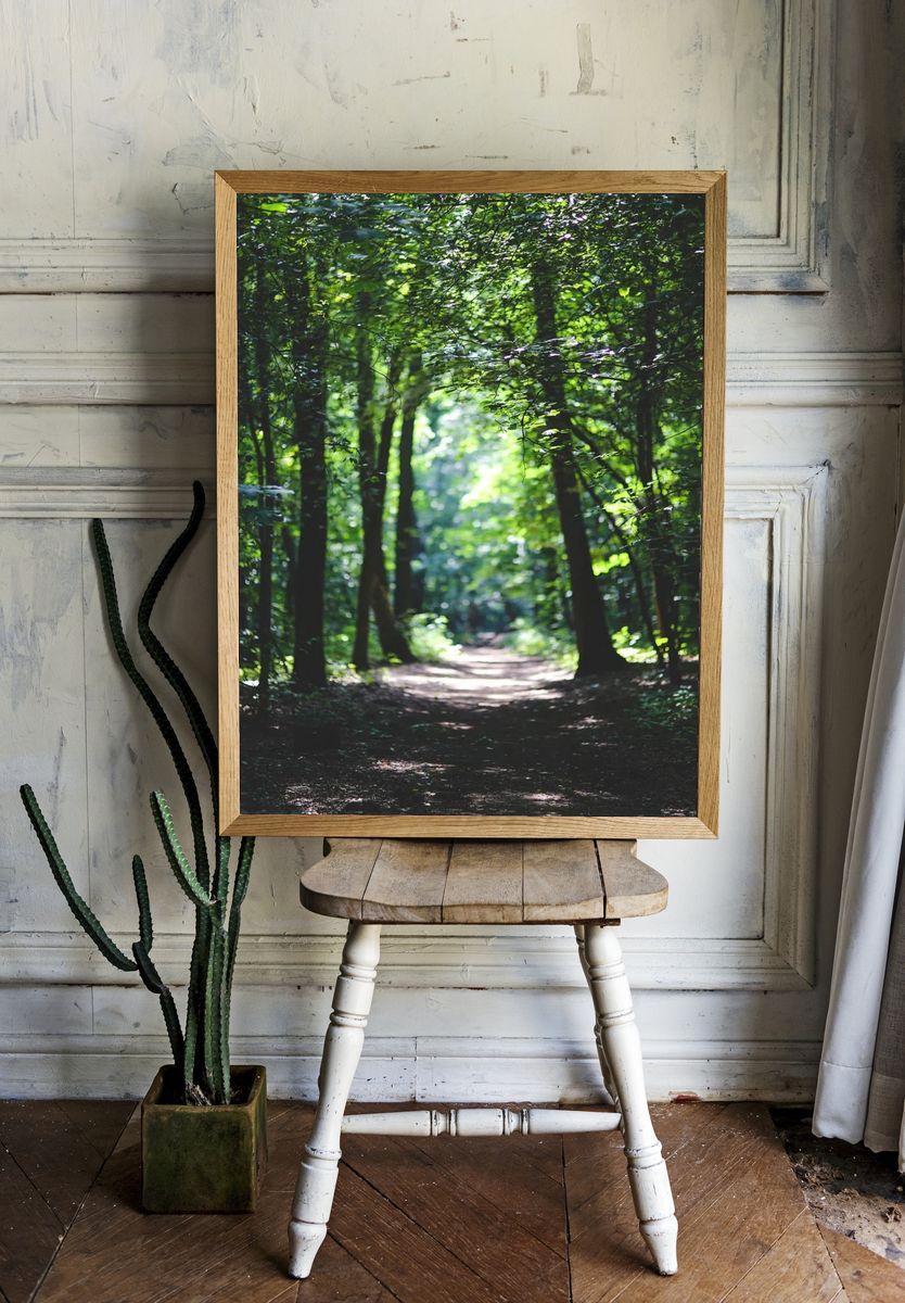 Lush Forest Path — Nature Print. — room view 1
