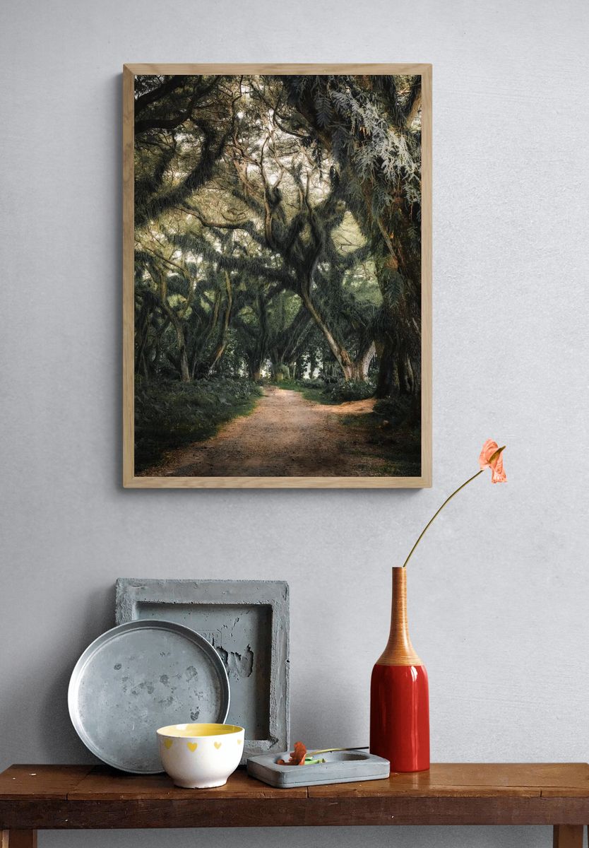 Enchanted Forest Path — Nature Print. — room view 3