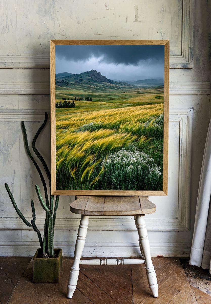 Golden Fields Under Stormy Sky Poster. room preview
