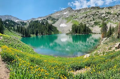 Mountain Lake with Wildflowers — Nature Poster.