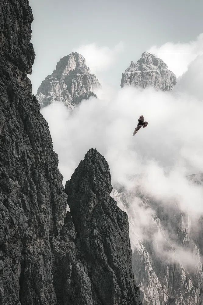 Majestic Mountains and Bird — Photography Print. poster detail