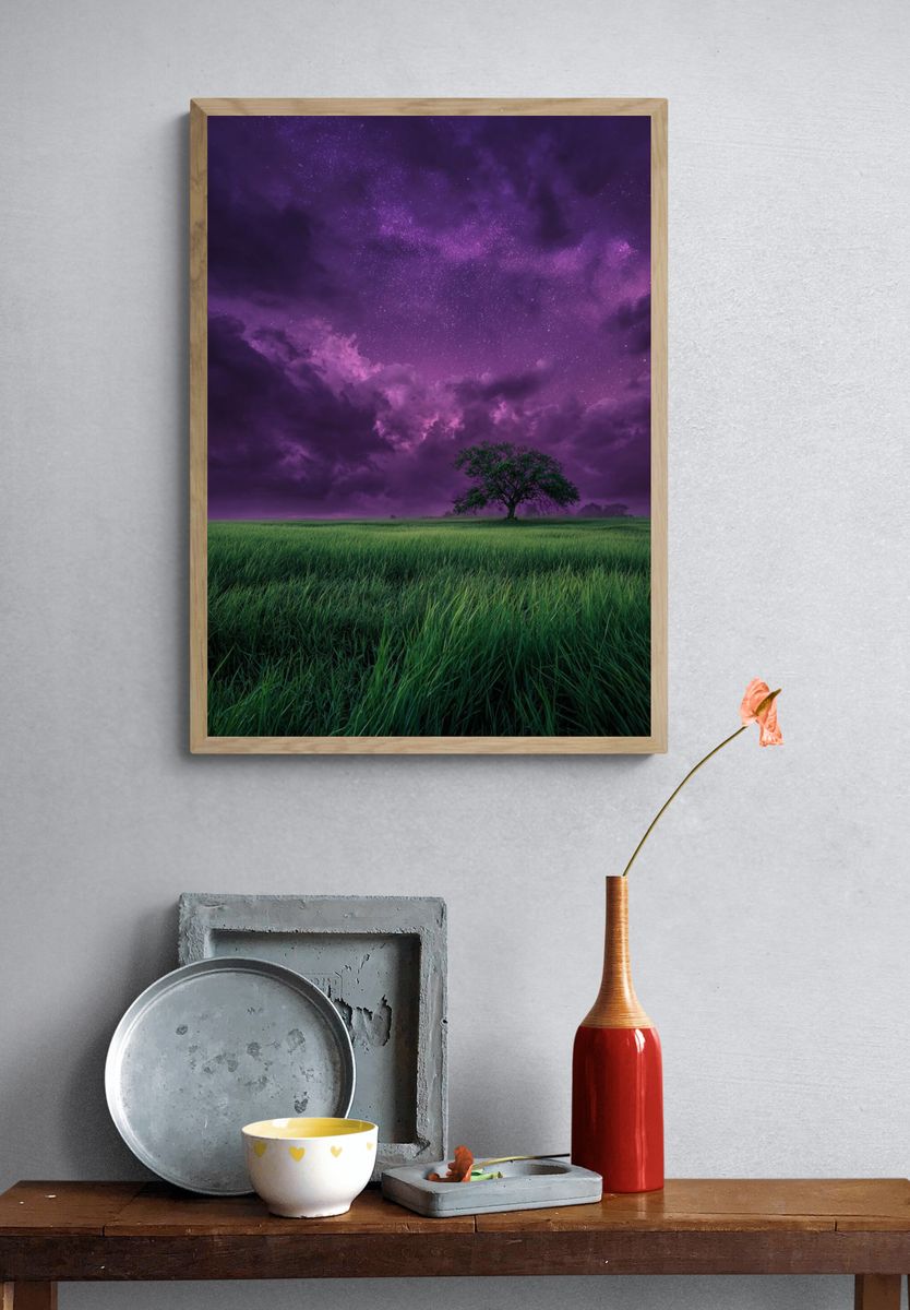 Starry Night Sky Over Green Field — Photography Print. — room view 3