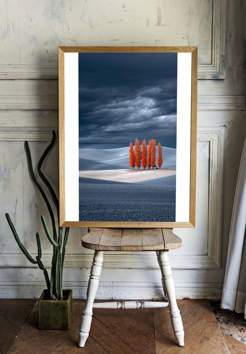 Autumn Trees in a Dramatic Landscape Poster. — room view 1