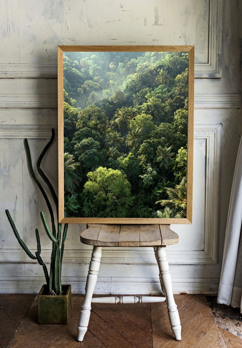 Lush Tropical Forest — Nature Print room preview