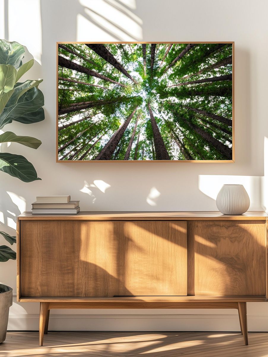 Looking Up at Tall Trees — Nature Poster. — room view 3