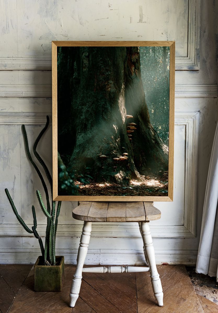Mushroom Growth on Ancient Tree — Nature Print. — room view 1