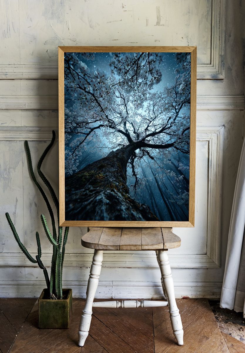 Cherry Blossom Tree — Nature Poster. — room view 1