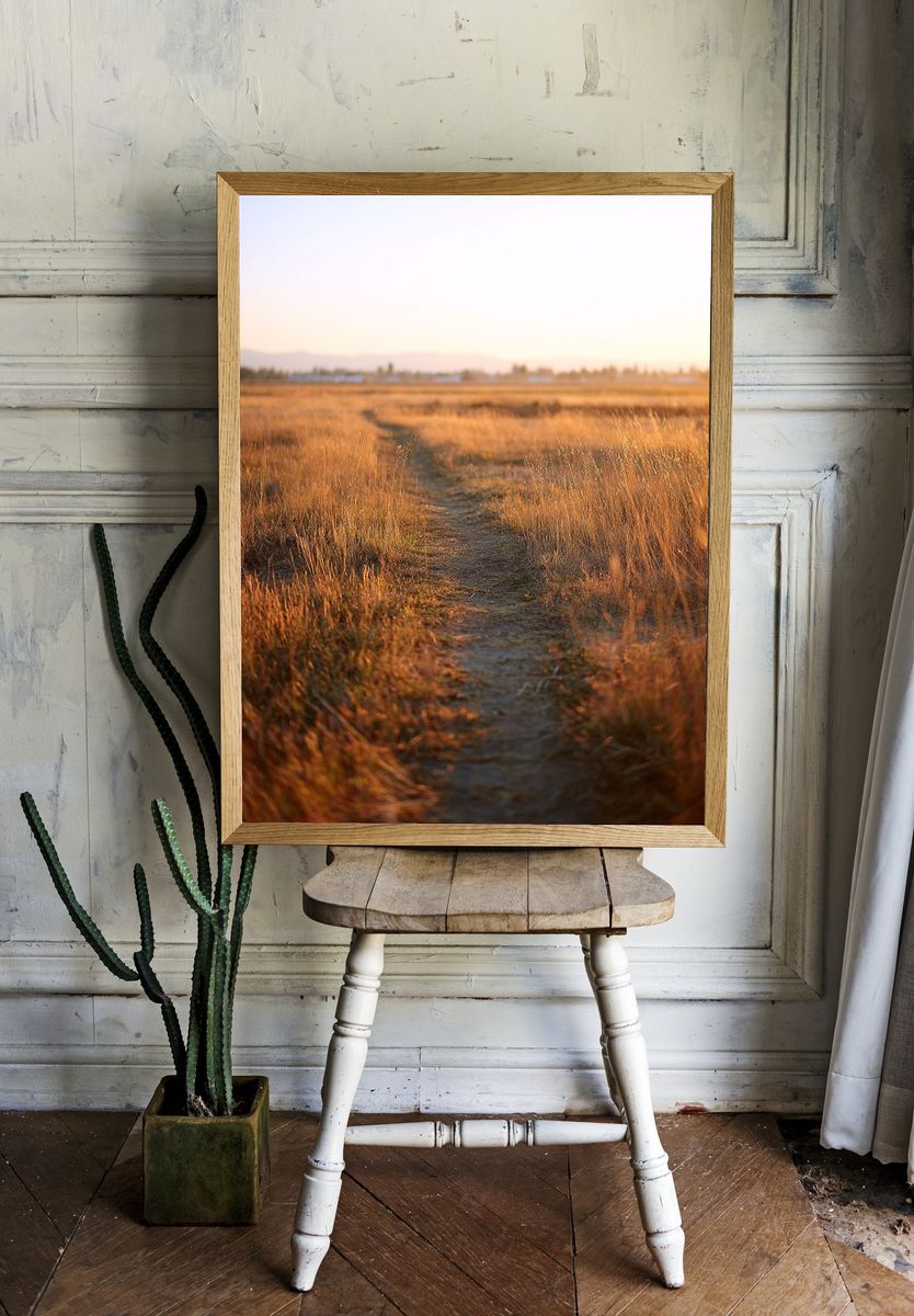 Golden Pathway at Sunset Poster. room preview