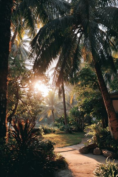 Tropical Paradise