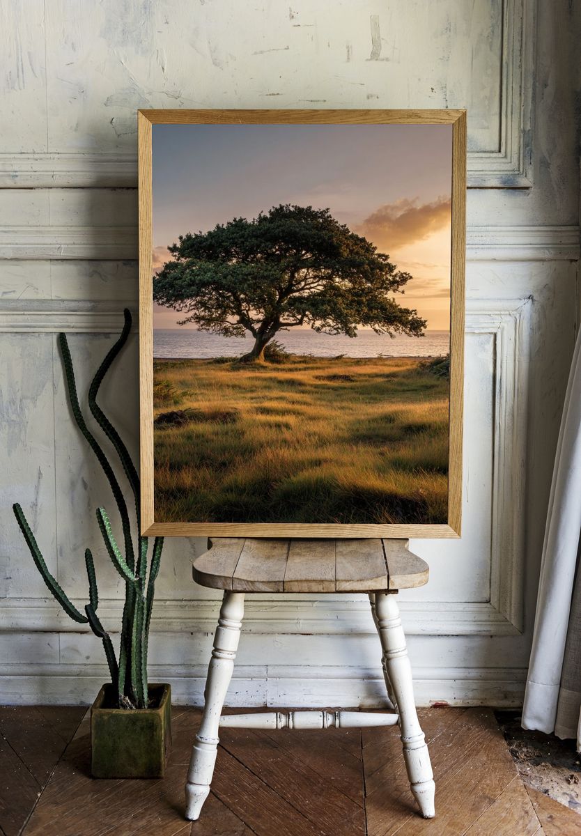 Solitary Tree at Sunset Poster. — room view 1