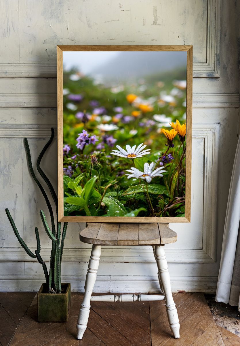 Dewy Wildflowers — Nature Print. room preview