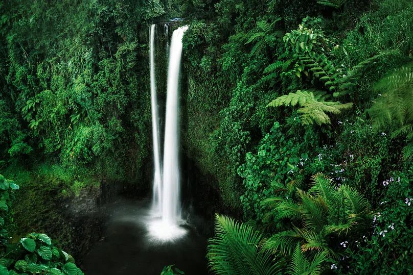 Majestic Waterfall — Nature Print. poster detail