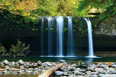 Serene Waterfall — Nature Print. poster