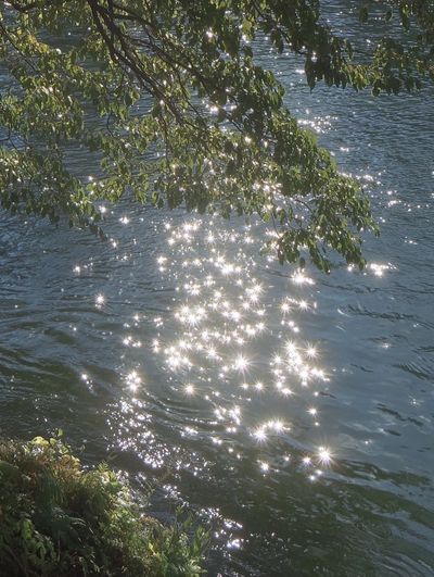 Sparkling Water Reflection
