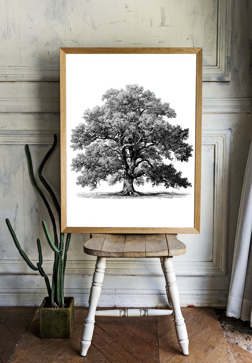 Majestic Oak Tree — Illustration Print room preview