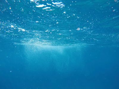 Blue ocean underwater. poster print