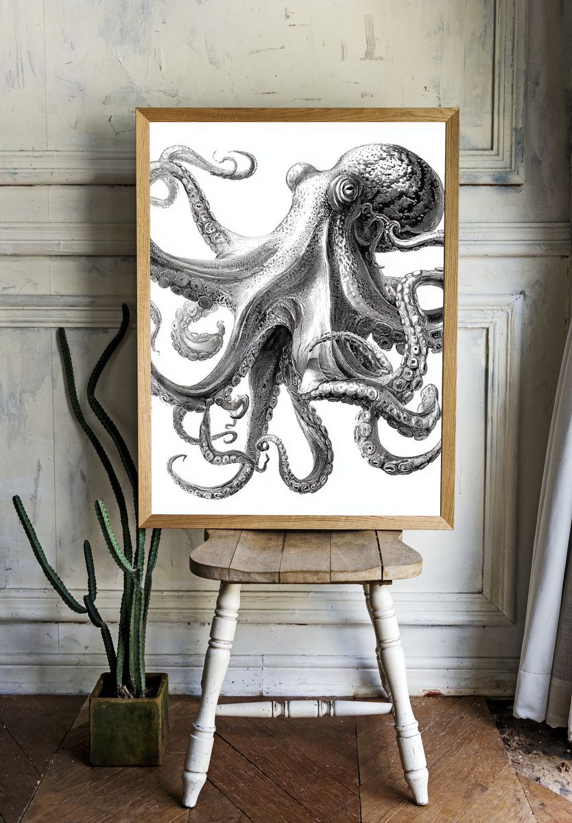 Octopus Ink Illustration Poster. room preview
